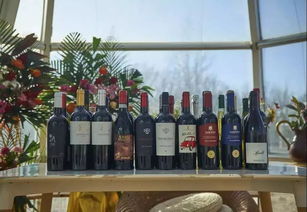 200畝農(nóng)場,每年接待20萬人,收入4000萬,秘訣在哪