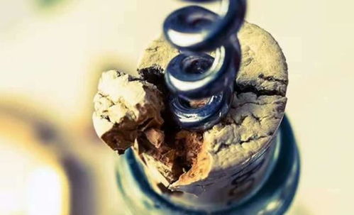 原來(lái)紅酒瓶塞是這樣制造的,和我想的完全不一樣,長(zhǎng)見(jiàn)識(shí)了